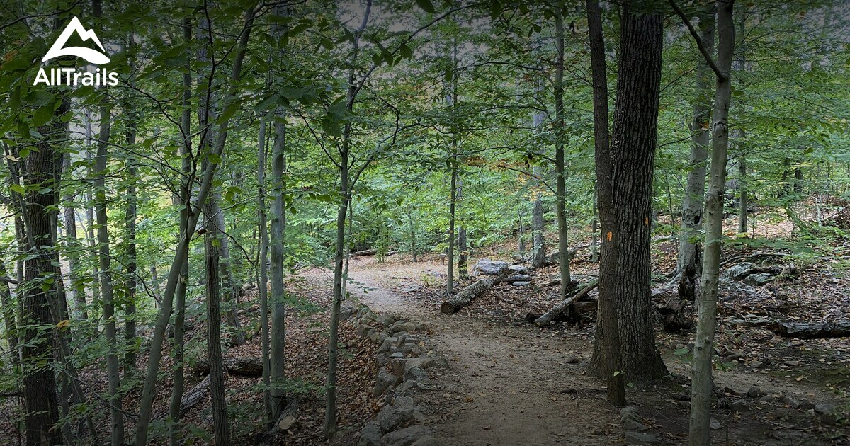 Best Hikes and Trails in Davidson's Mill Pond Park AllTrails
