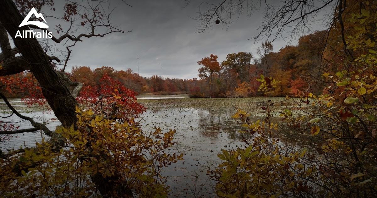 Best Hikes and Trails in Etra Park AllTrails