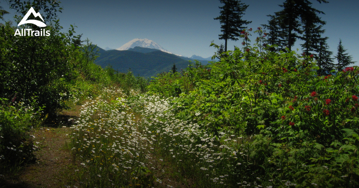 Best Trails in Kanaskat Palmer State Park Washington AllTrails