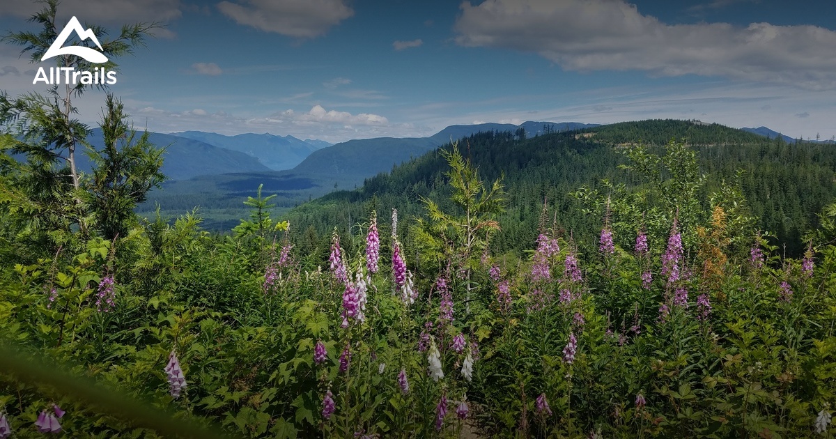 Best Trails in Kanaskat Palmer State Park Washington AllTrails