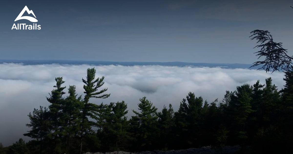 Best Trails in Bald Eagle State Forest - Pennsylvania | AllTrails