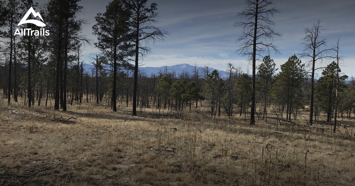 Best Hikes and Trails in Black Forest Regional Park AllTrails