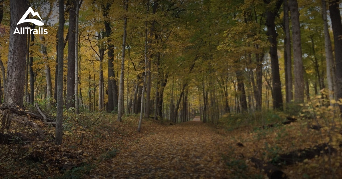 Best Trails in Bliss Woods Forest Preserve Illinois AllTrails
