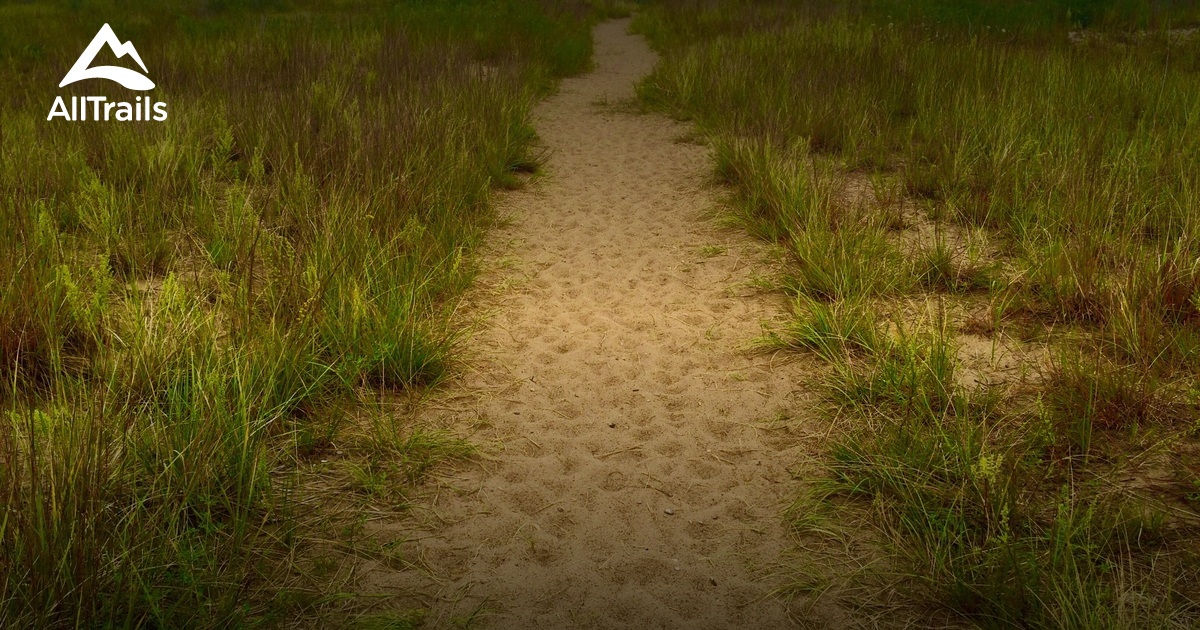 Best Hikes and Trails in Bowen Park AllTrails