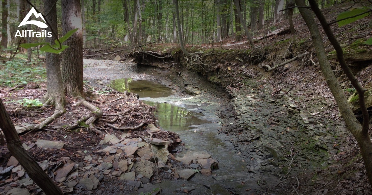 Best Trails in Mill Stream Run Reservation Ohio AllTrails