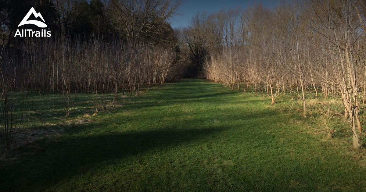 Best Hikes and Trails in Petrifying Springs Park AllTrails