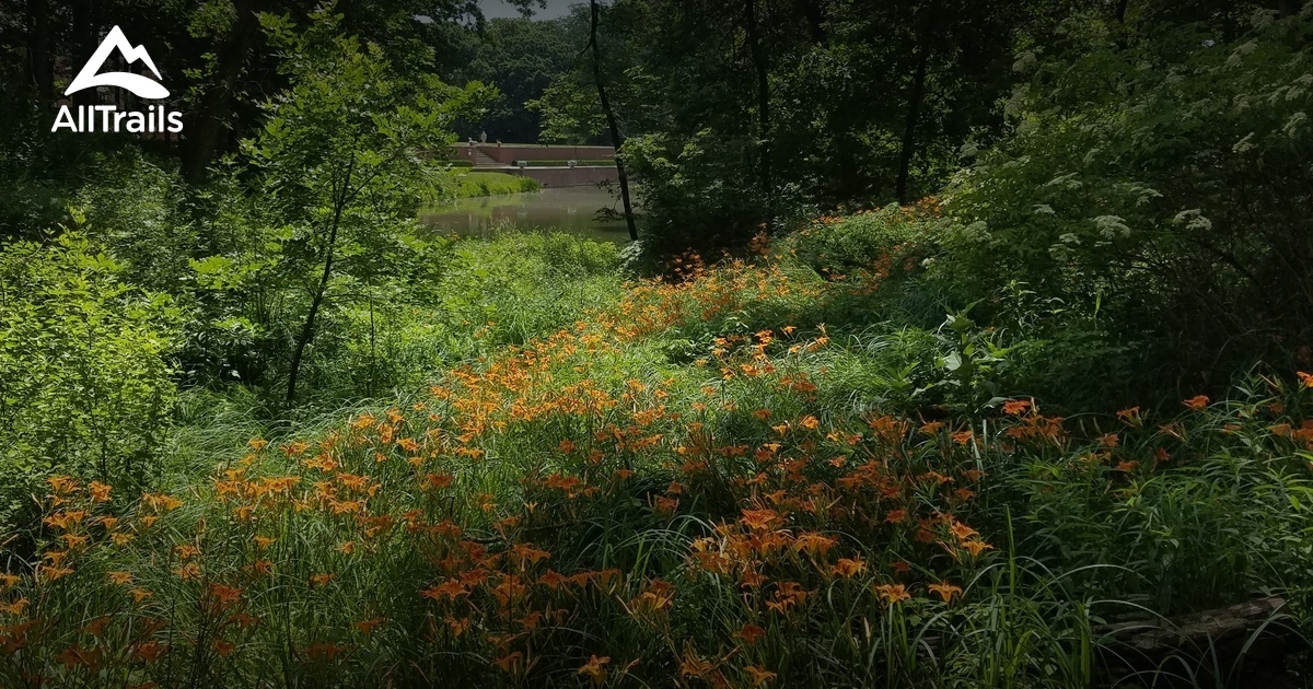 10 Best Wildlife Trails in Robert Allerton Park AllTrails