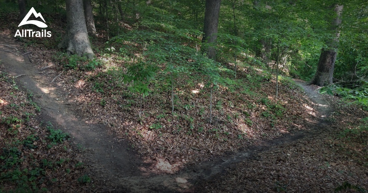 Best Hikes and Trails in Briarwood Park AllTrails