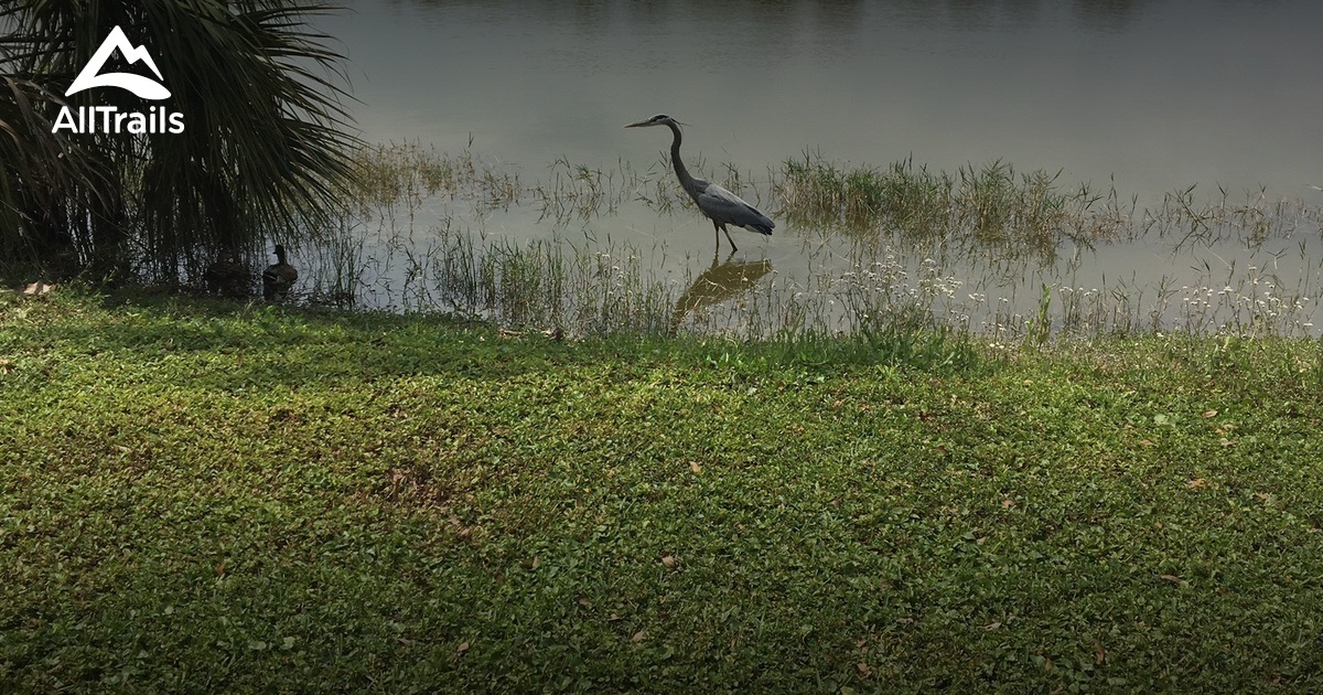 Best Hikes and Trails in Freedom Lake Park AllTrails