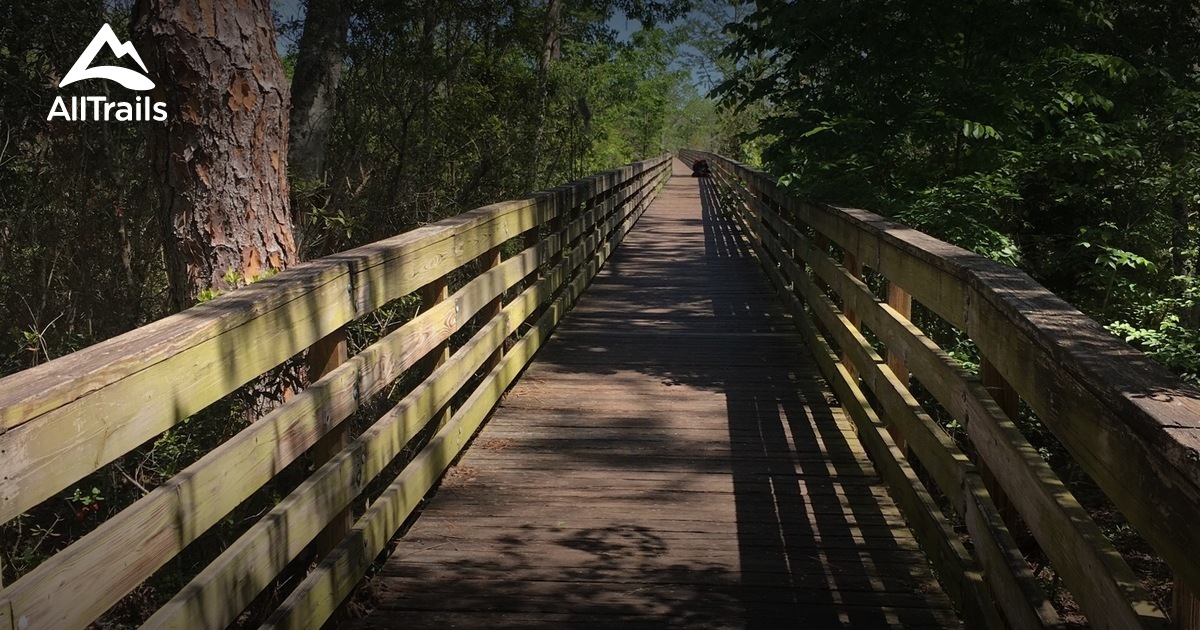 Best Trails in L C Ringhaver Park Florida AllTrails