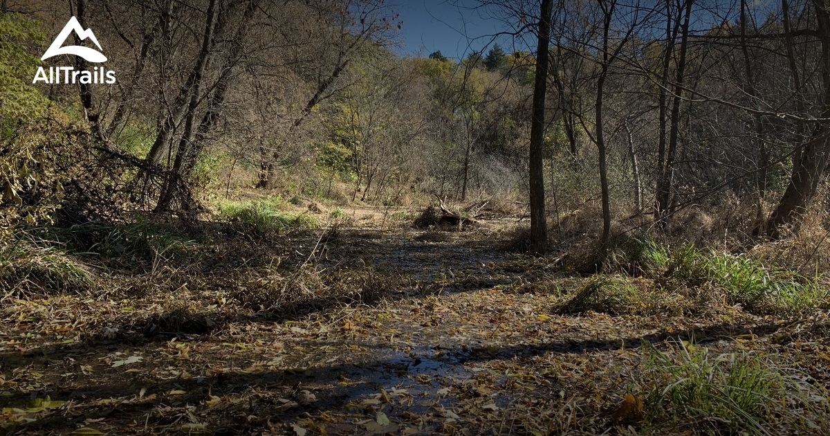 theo wirth mtb trails