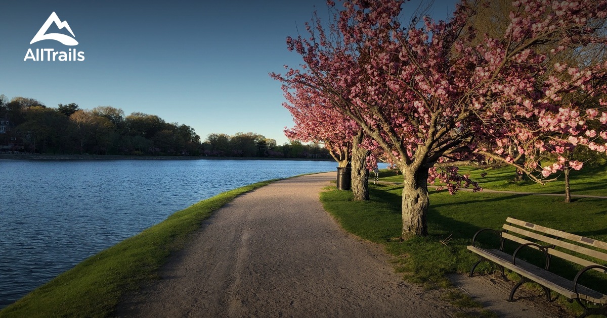 Best Trails in Brookline Reservoir Park Massachusetts AllTrails