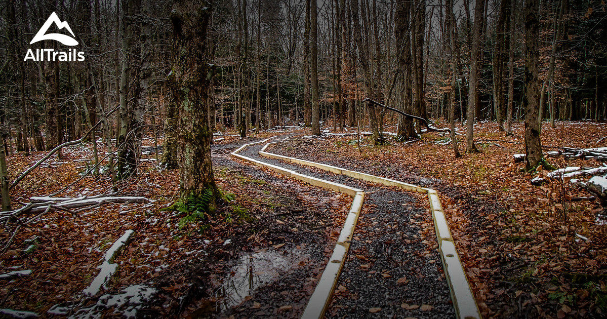 Best Trails in Highland Forest Park New York AllTrails