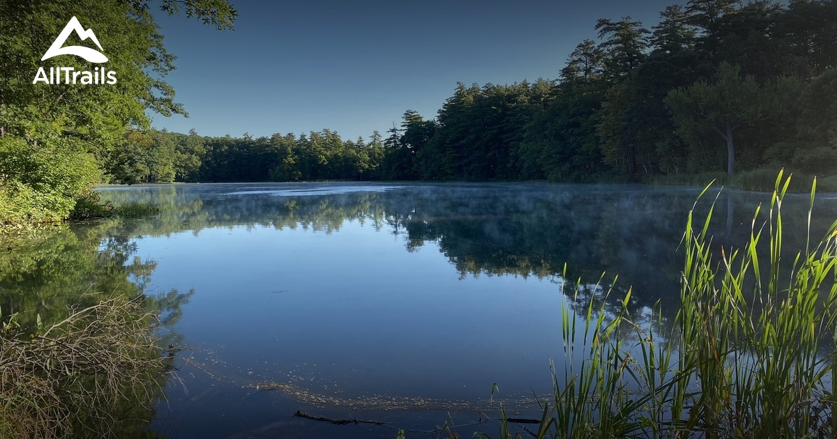 Best Hikes and Trails in Livingston Park AllTrails