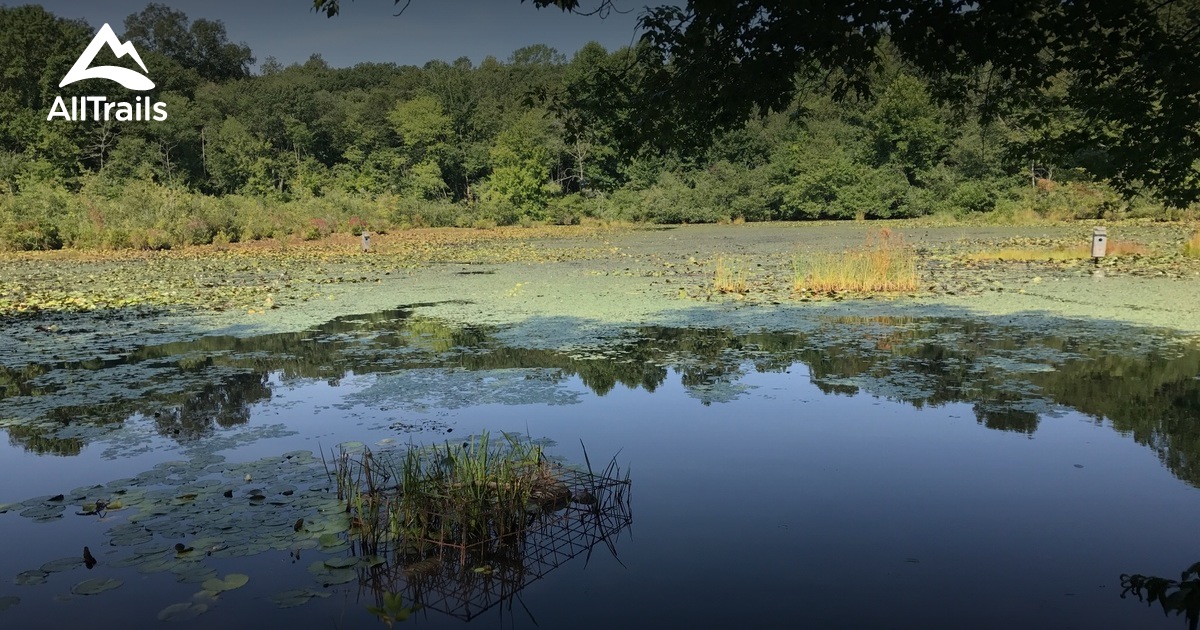 Best Trails in Pequot Woods Public Area Connecticut AllTrails