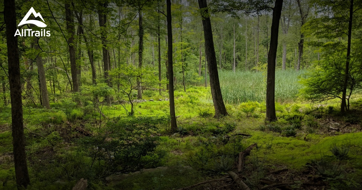 2023 Best trails in Shrub Oak Memorial Park AllTrails