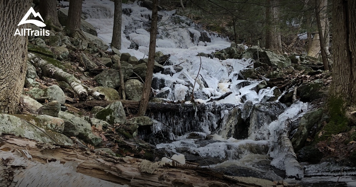 Best Trails in Tully Lake Recreation Area Massachusetts AllTrails