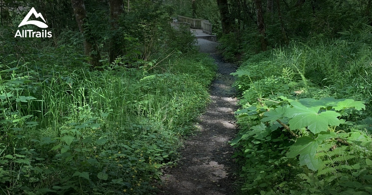 Best Trails in Clarks Creek Park Washington AllTrails