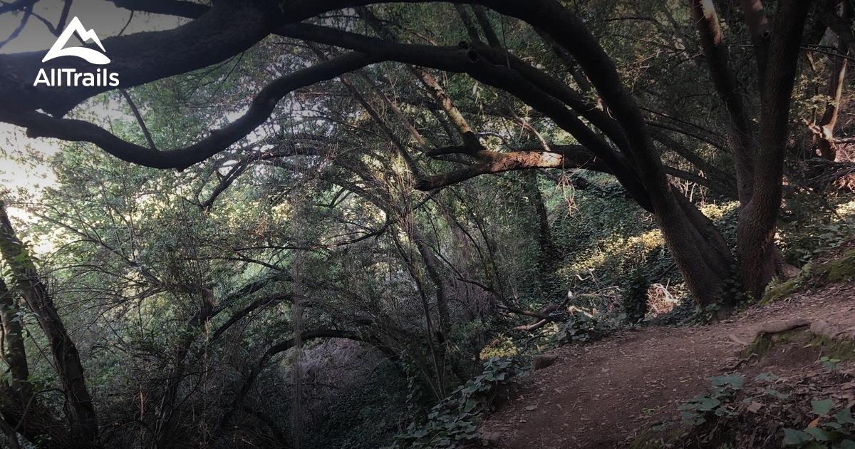 Best hikes and trails in Dimond Park | AllTrails