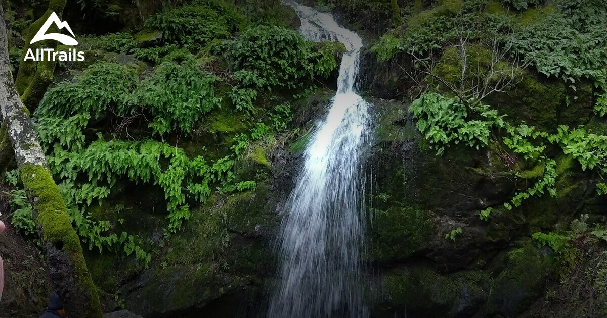 Best Hikes and Trails in Ignacio Valley Preserve AllTrails