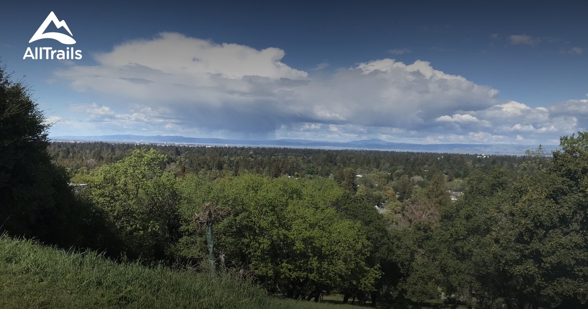 Best Hikes and Trails in Sharon Park AllTrails