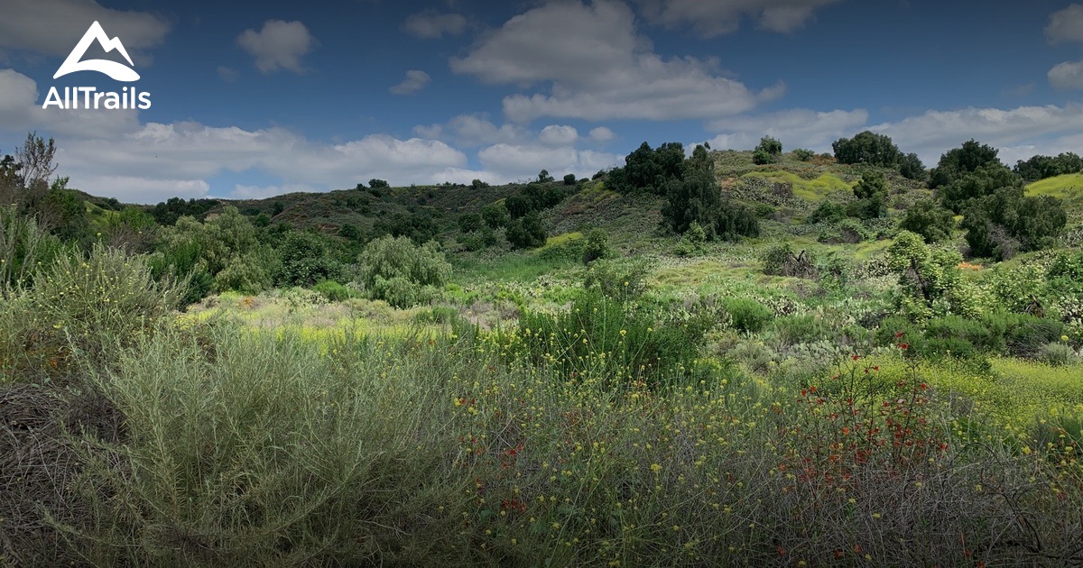 Best Hikes and Trails in West Coyote Hills Park | AllTrails