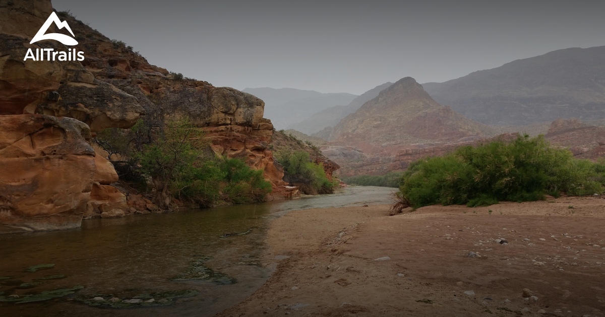 Best Trails in Beaver Dam Mountains Wilderness - Arizona | AllTrails