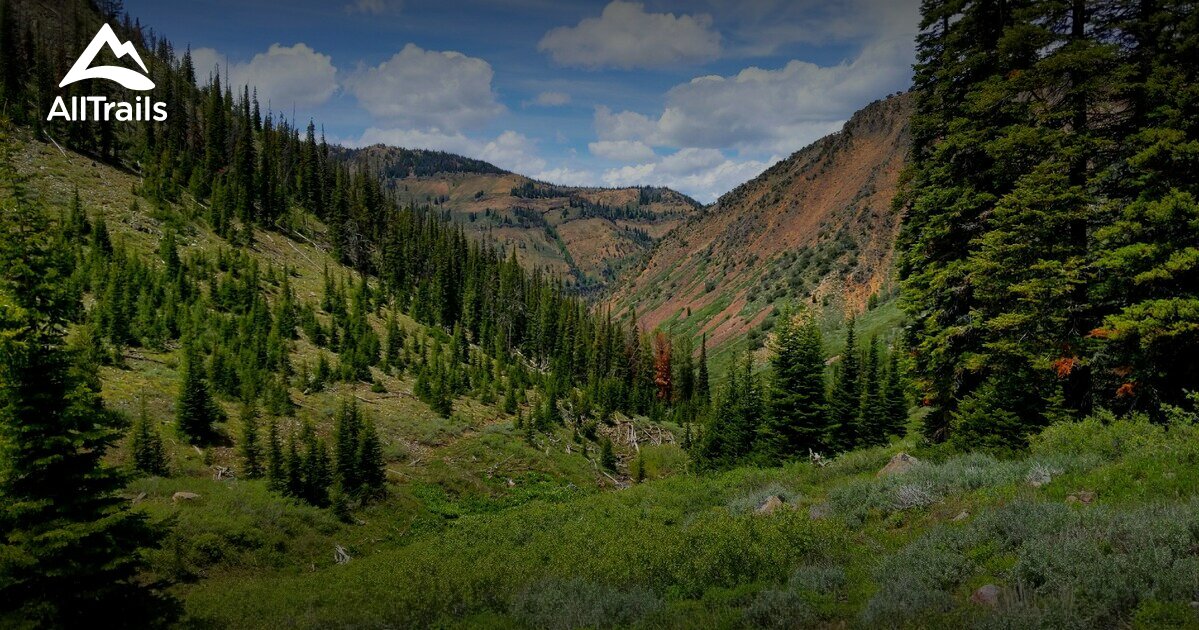 Best trails in Jarbidge Wilderness, Nevada AllTrails