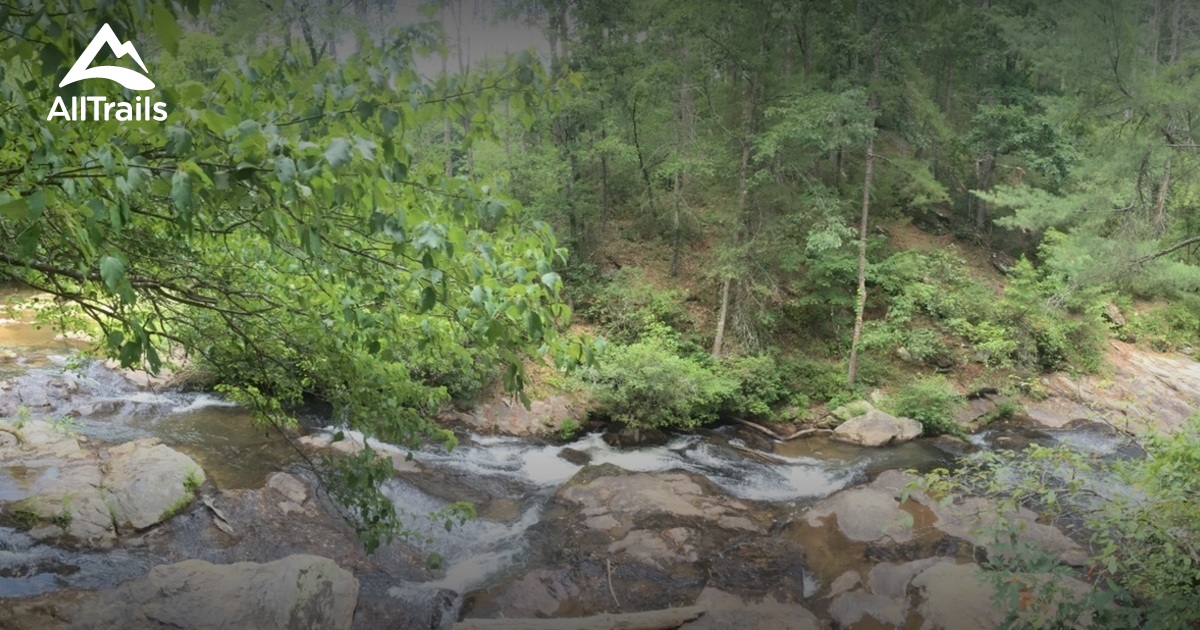 Best Trails in Cohutta Wilderness