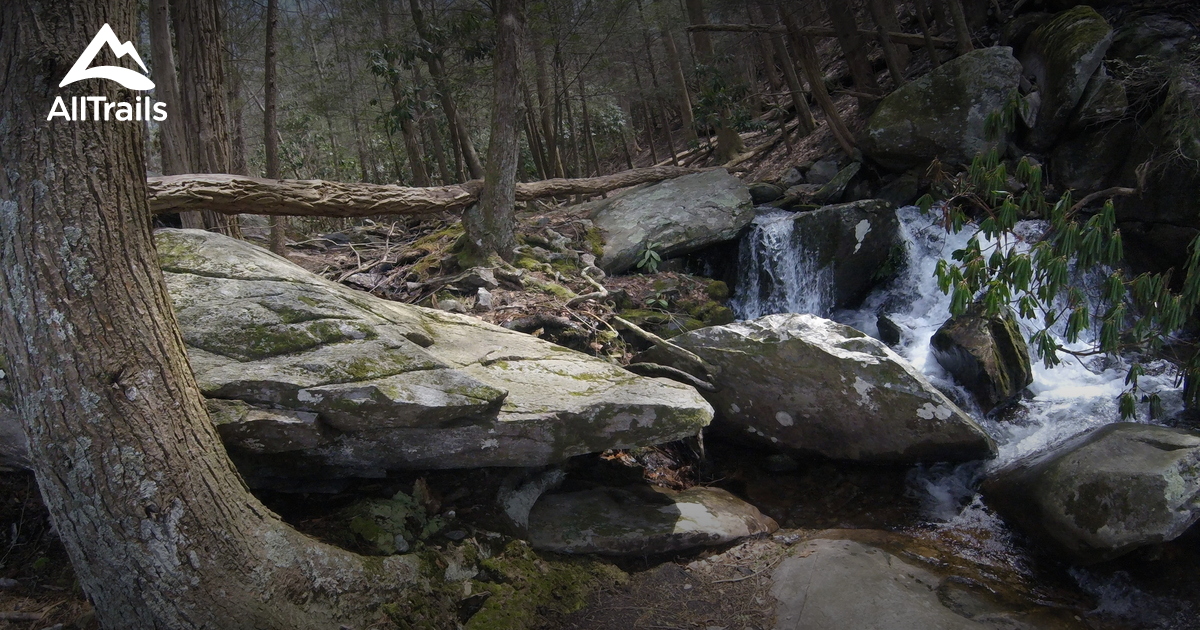 Best Trails in Cohutta Wilderness AllTrails