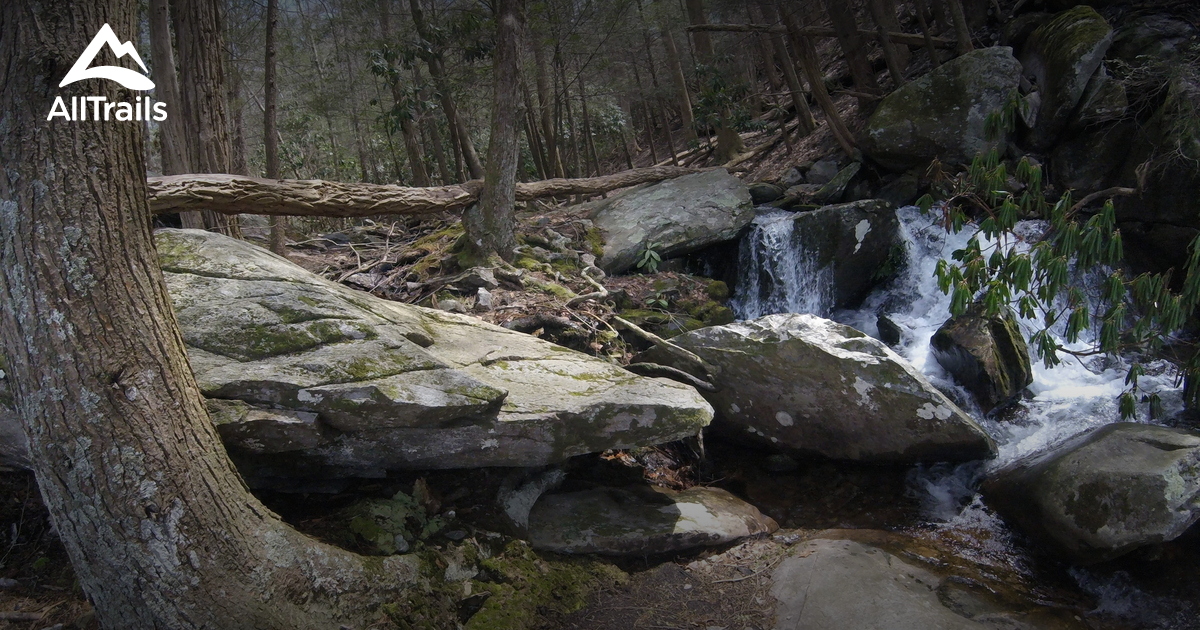10 Best Hard Trails in Cohutta Wilderness AllTrails