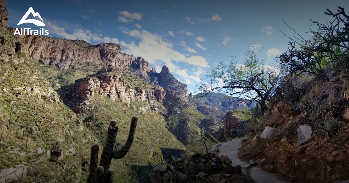 Best Trails in Pusch Ridge Wilderness Arizona AllTrails