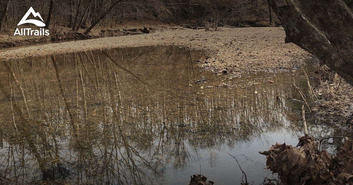 Best Hikes and Trails in Bald Knob Wilderness AllTrails