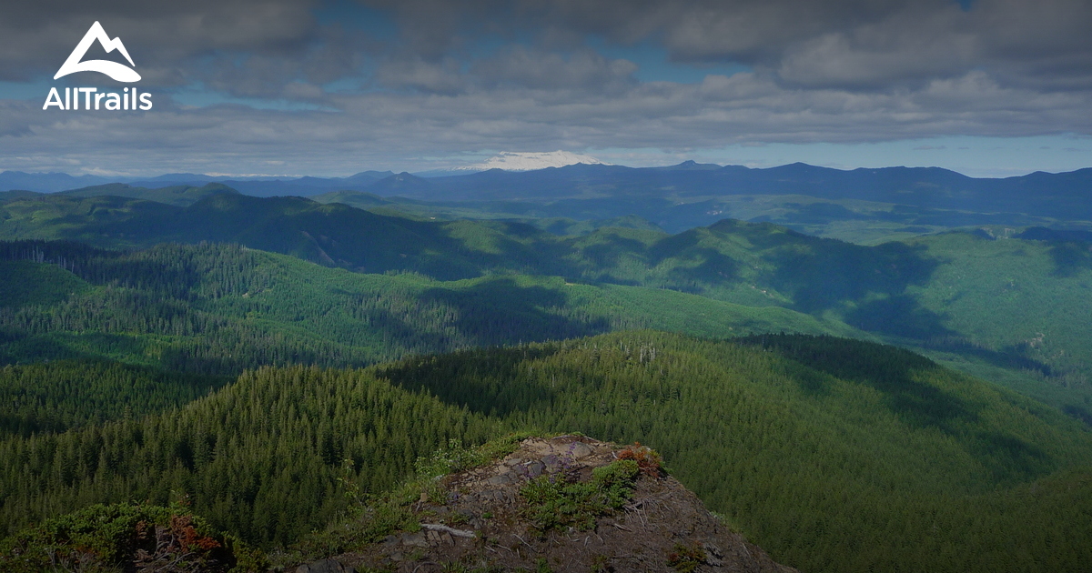 Best Trails in Trapper Creek Wilderness Washington AllTrails