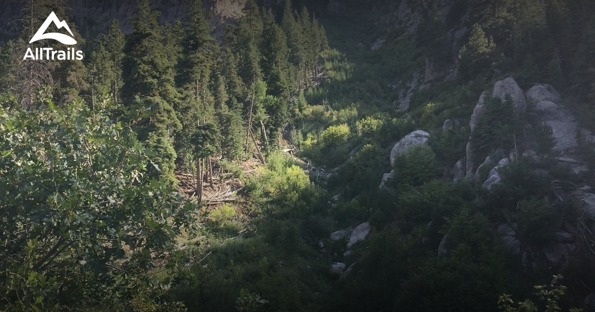 Best Trails in Pine Valley Mountain Wilderness - Utah ...