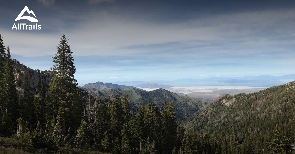 2023 Best trails in Deseret Peak Wilderness AllTrails