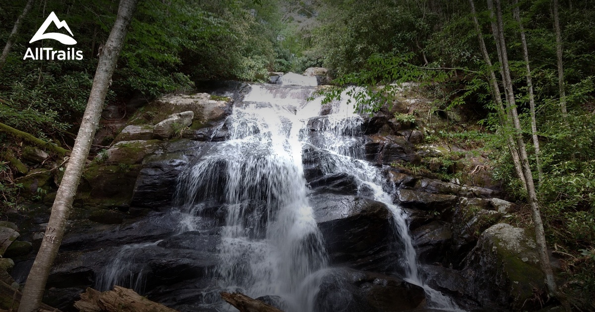 Best Trails in Sampson Mountain Wilderness - Tennessee | AllTrails