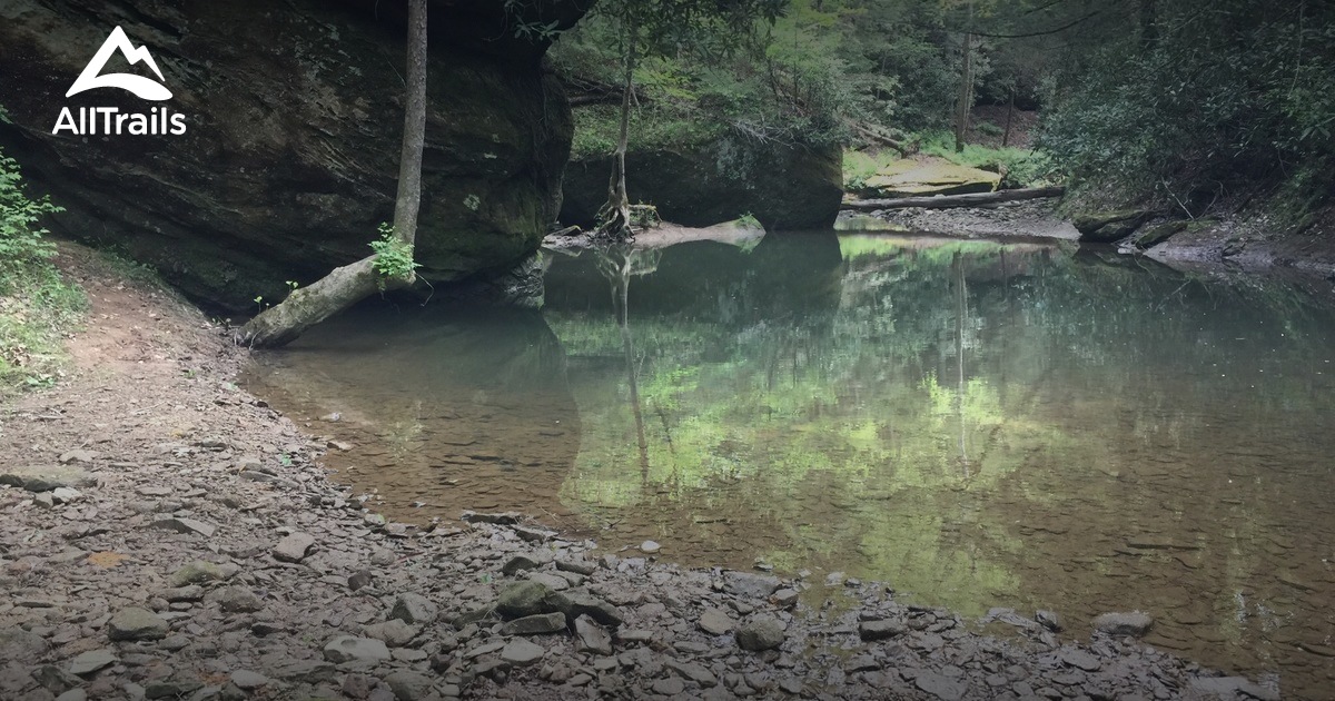 Best Trails in Clifty Wilderness Kentucky AllTrails