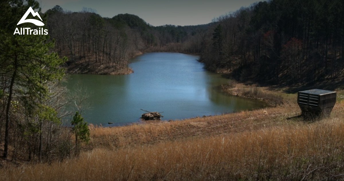 Best Trails in Dugger Mountain Wilderness Alabama AllTrails