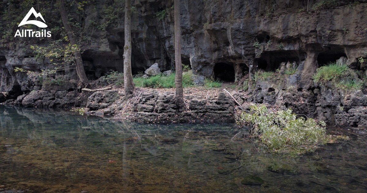 Best Trails in Irish Wilderness Missouri AllTrails