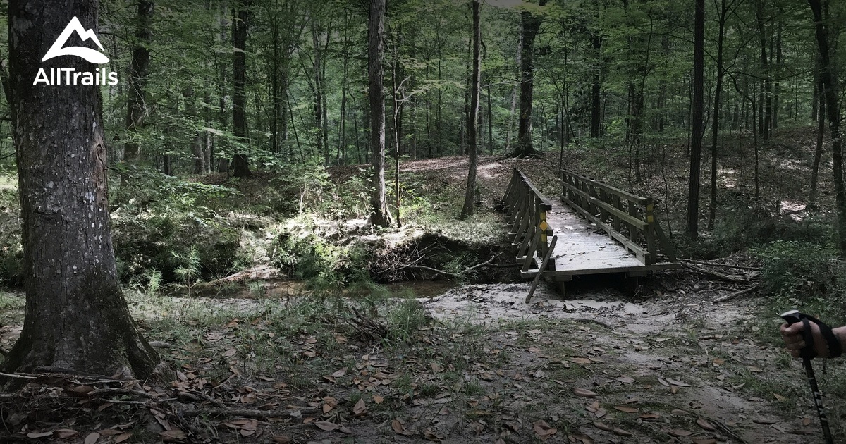 Best Trails in Kisatchie National Forest Louisiana AllTrails