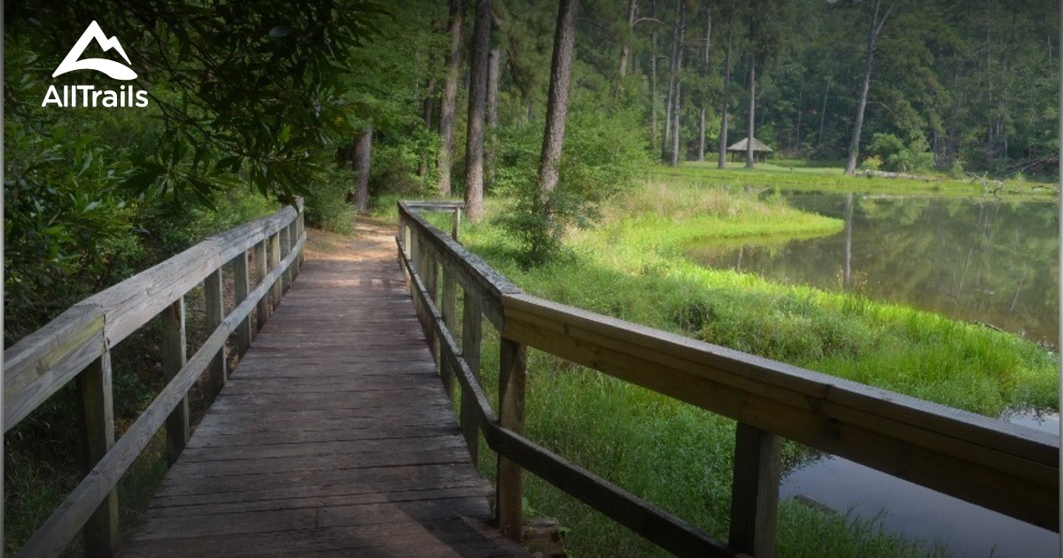 Southern Phone Reviews >> Best Trails in Homochitto National Forest - Mississippi ... Southern Phone Reviews >> Best Trails in Homochitto National Forest - Mississippi ...