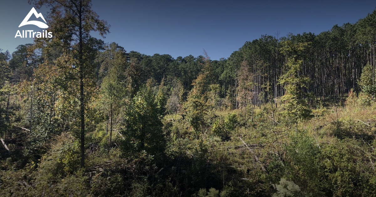 Best Hikes and Trails in Homochitto National Forest AllTrails