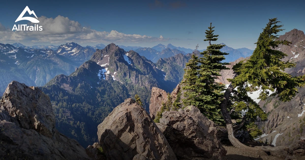 olympic national park best hikes