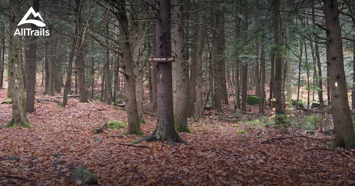 Best hikes and trails in Gap Mountain Reservation | AllTrails