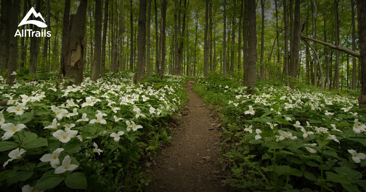 Best Trails in Pretty River Valley Provincial Park - Ontario, Canada