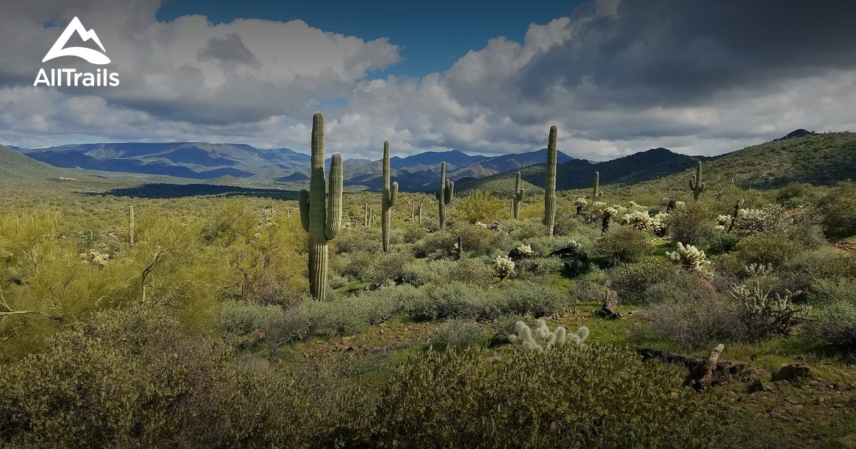 Best Trails in Cave Creek Regional Park Arizona AllTrails