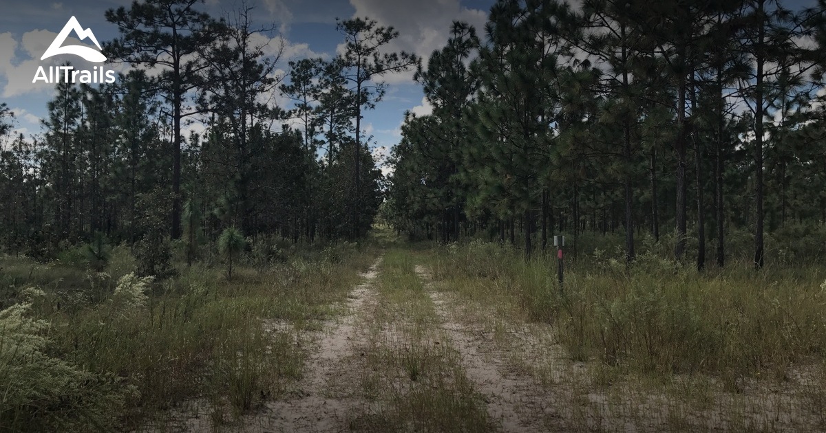Best Trails in Jennings State Forest Florida AllTrails