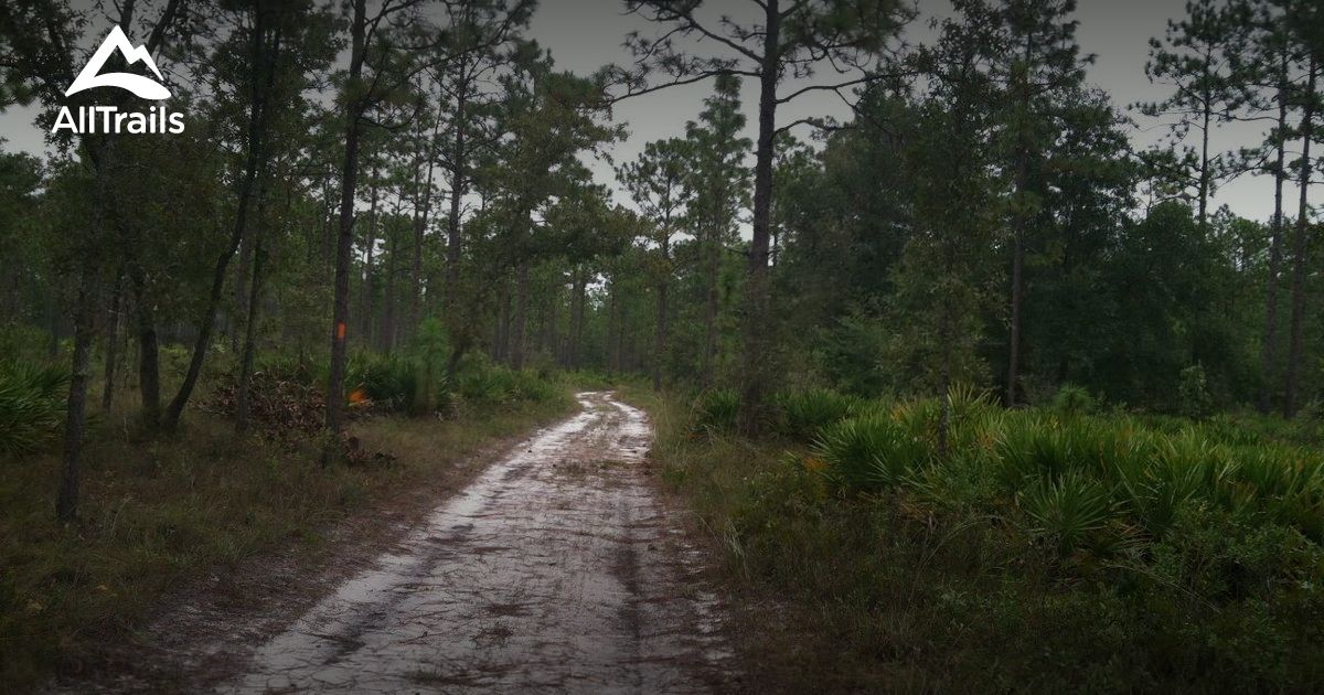 Best Trails in Jennings State Forest - Florida  AllTrails