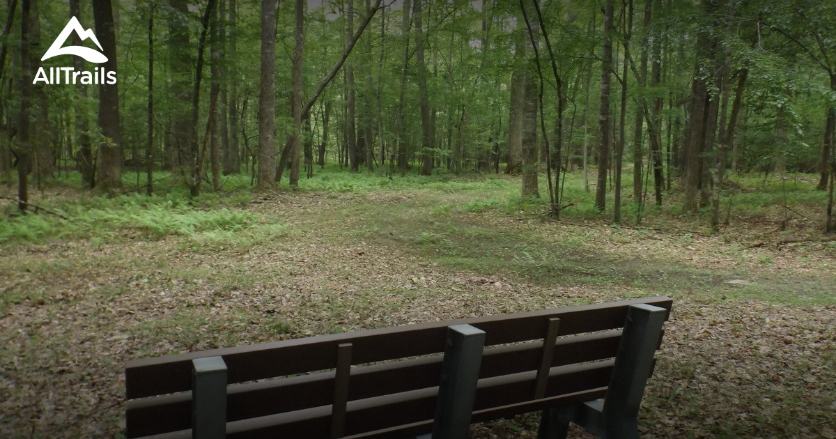 Best Trails in Chesapeake Forest Lands Maryland AllTrails